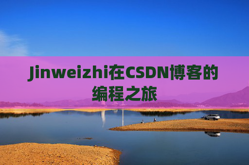 Jinweizhi在CSDN博客的编程之旅